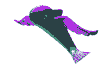 random shit